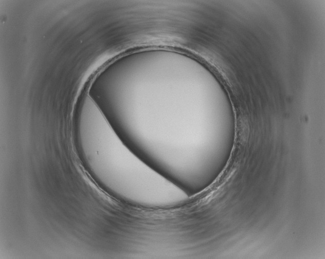 X0000068320982200604211007