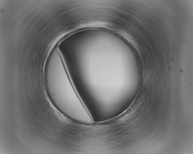 X0000068320988200604211007