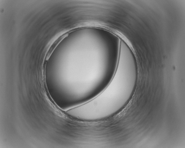 X0000068320996200604211007