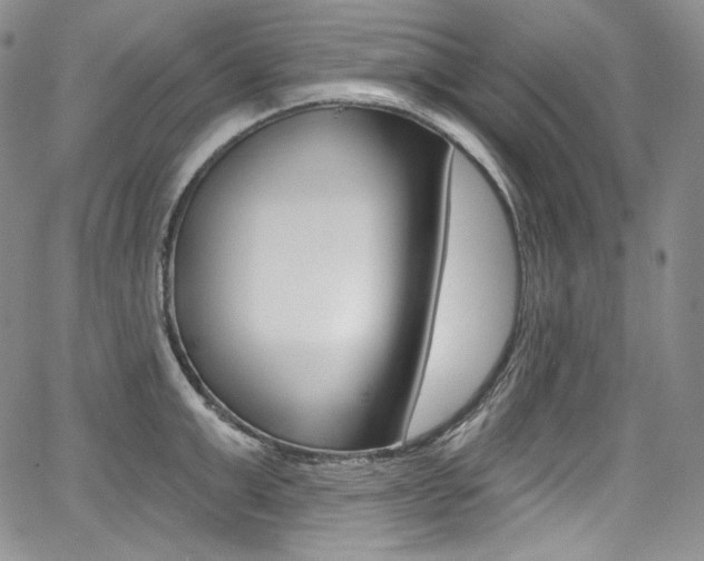 X0000068320999200604211007