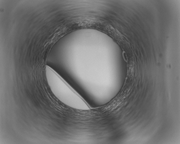 X0000068321012200604211006