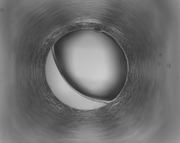 X0000068321014200604211006