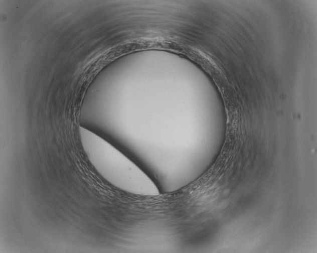 X0000068321015200604211006