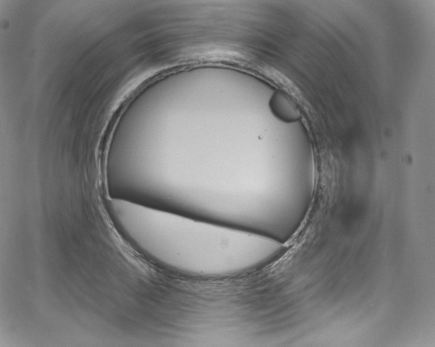 X0000068321031200604211006