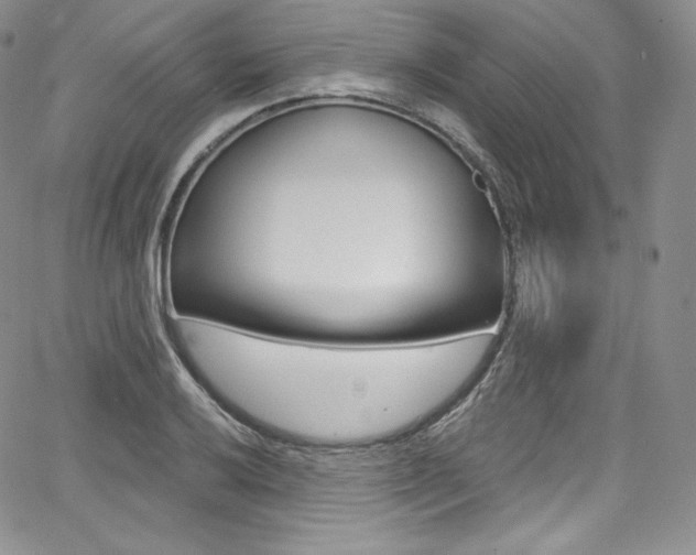 X0000068321032200604211006