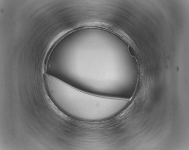 X0000068321036200604211006