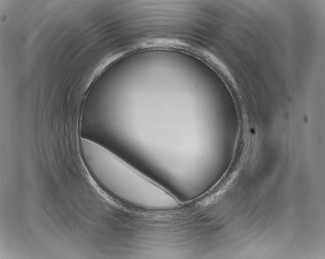 X0000068321041200604211006