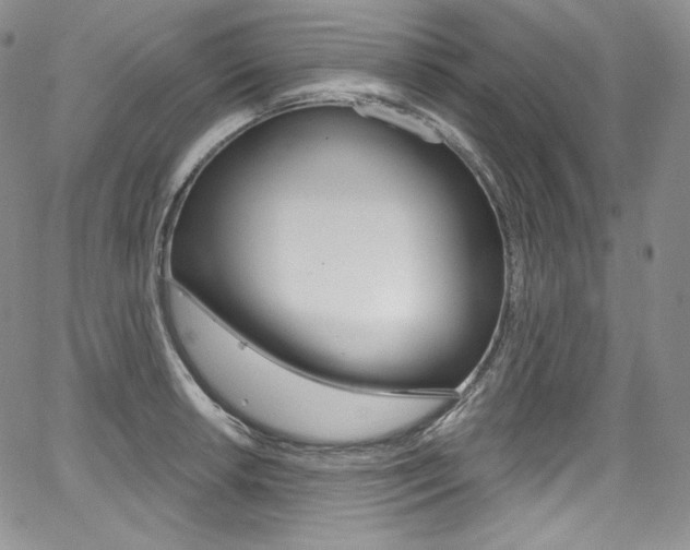 X0000068321042200604211006