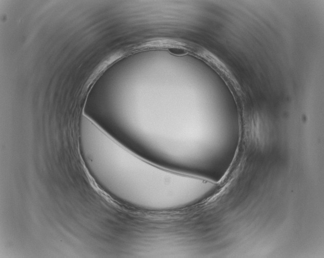 X0000068321049200604211006