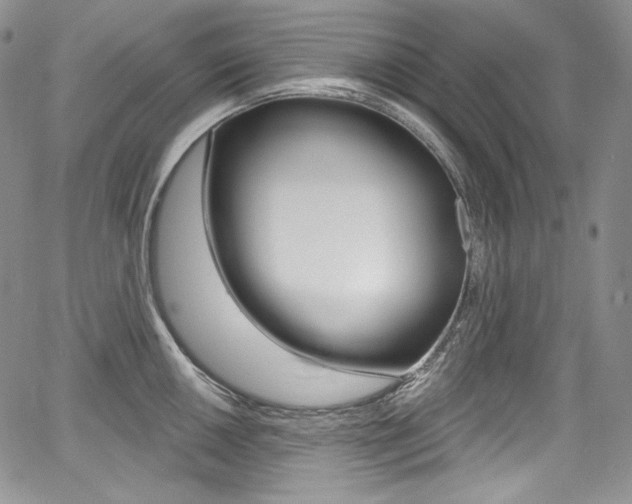 X0000068321050200604211006