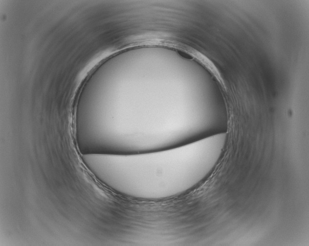 X0000068321051200604211007