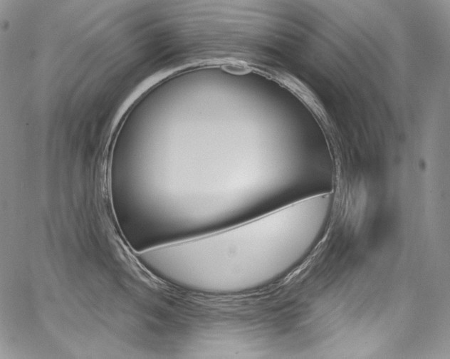 X0000068321052200604211007