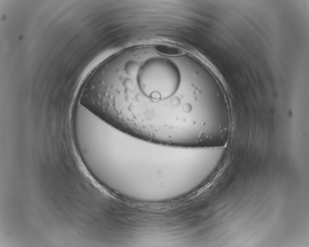 X0000068321053200604211007