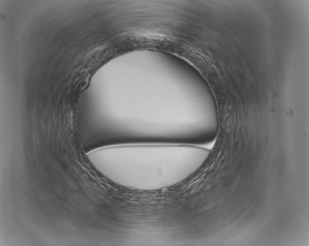 X0000068321061200604211006