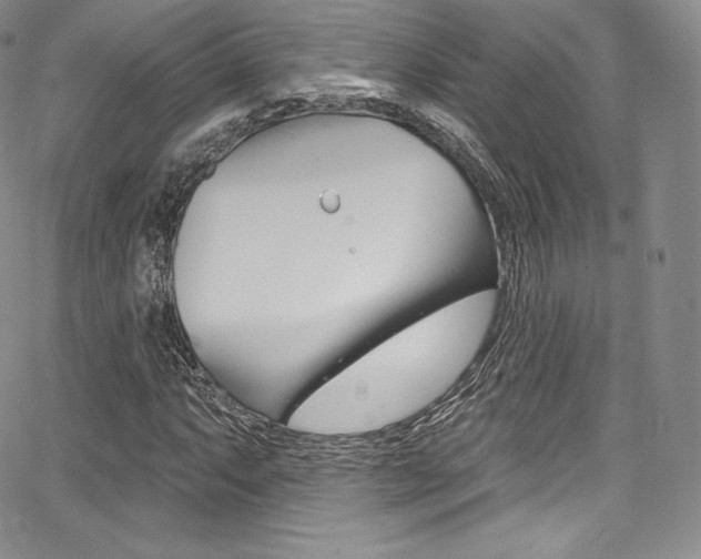 X0000068321063200604211006
