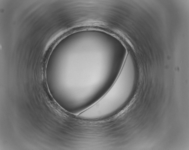 X0000068321069200604211006
