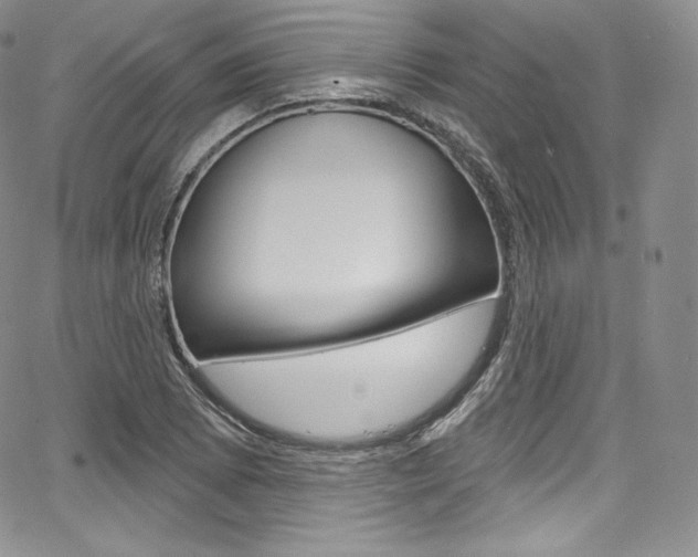 X0000068321073200604211006