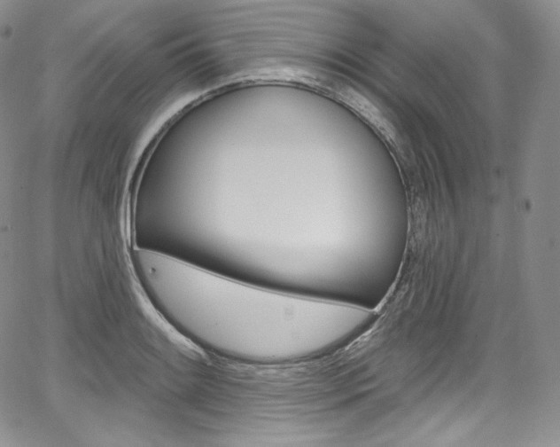 X0000068321084200604211005