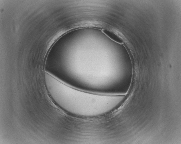 X0000068321089200604211005