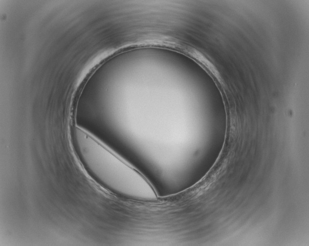 X0000068321093200604211005