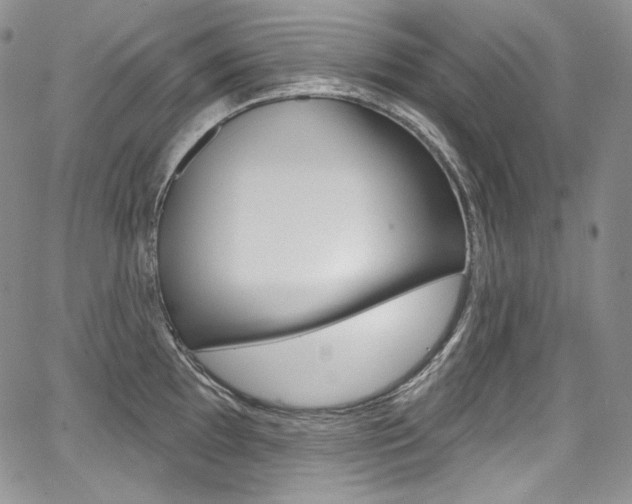X0000068321097200604211005