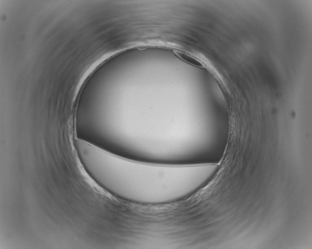 X0000068321100200604211005