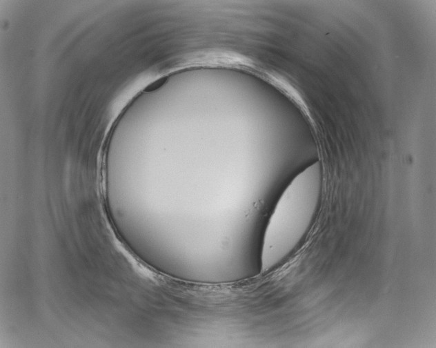 X0000068321103200604211005
