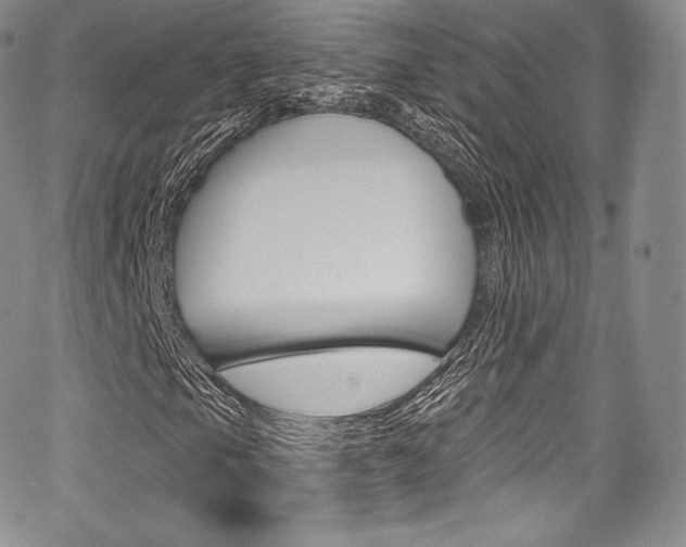 X0000068321105200604211004
