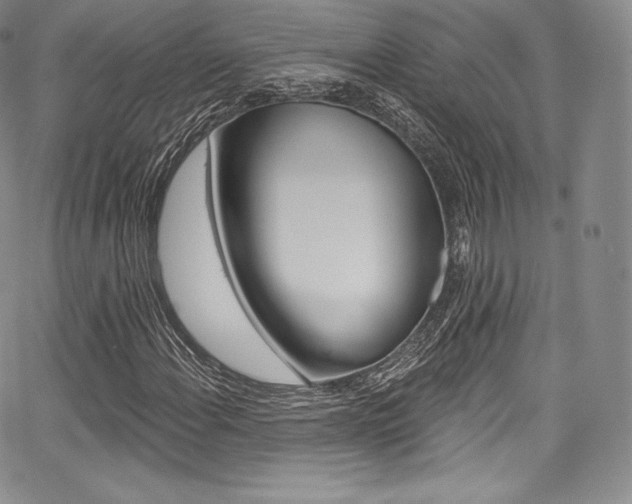 X0000068321108200604211004