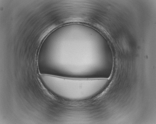X0000068321129200604211005