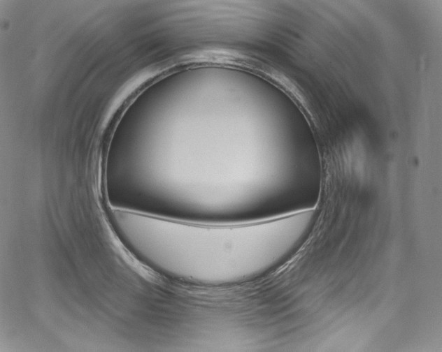 X0000068321131200604211005