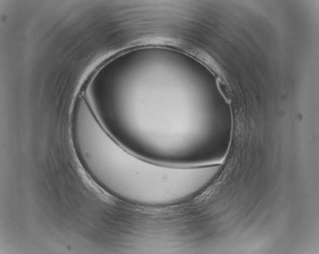 X0000068321132200604211005