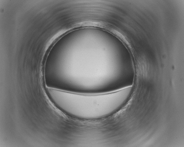 X0000068321133200604211005