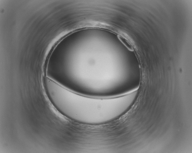 X0000068321136200604211005