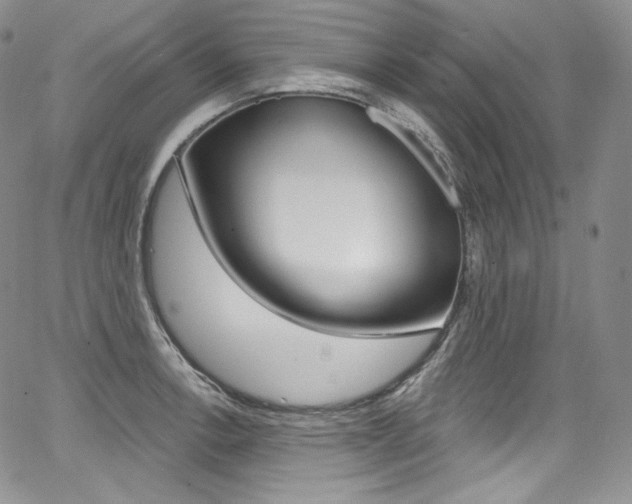X0000068321138200604211005