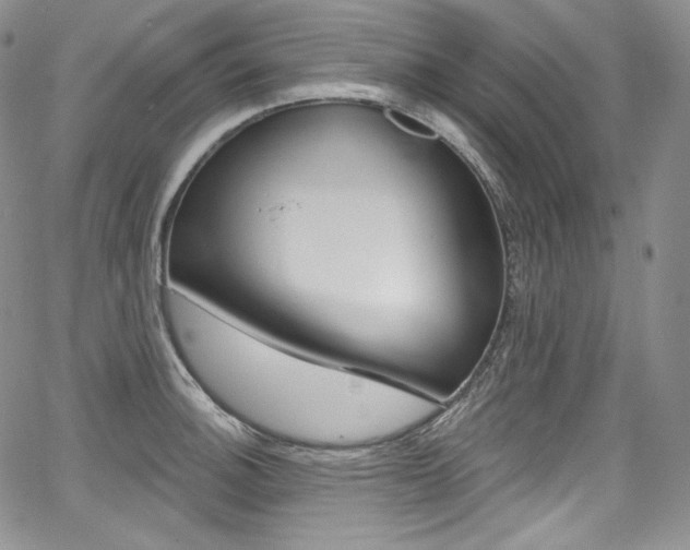 X0000068321140200604211005