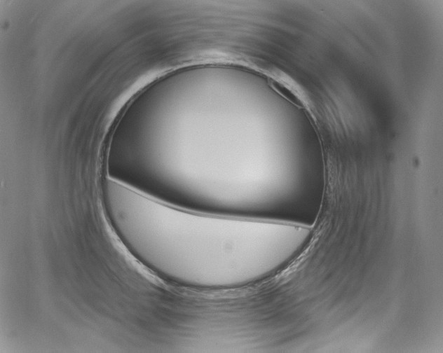 X0000068321142200604211005