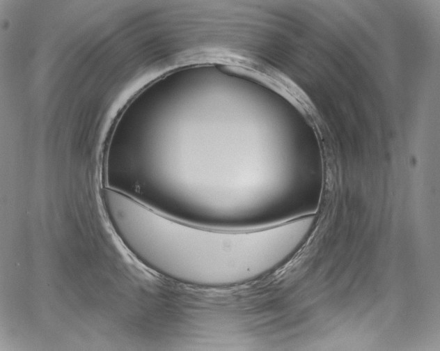 X0000068321144200604211005