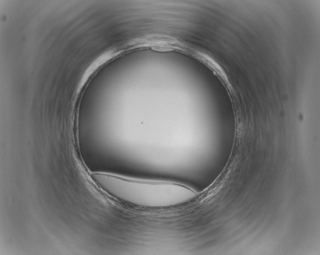 X0000068321146200604211005