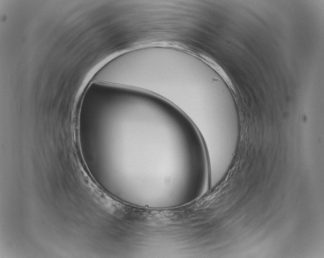 X0000068321148200604211005
