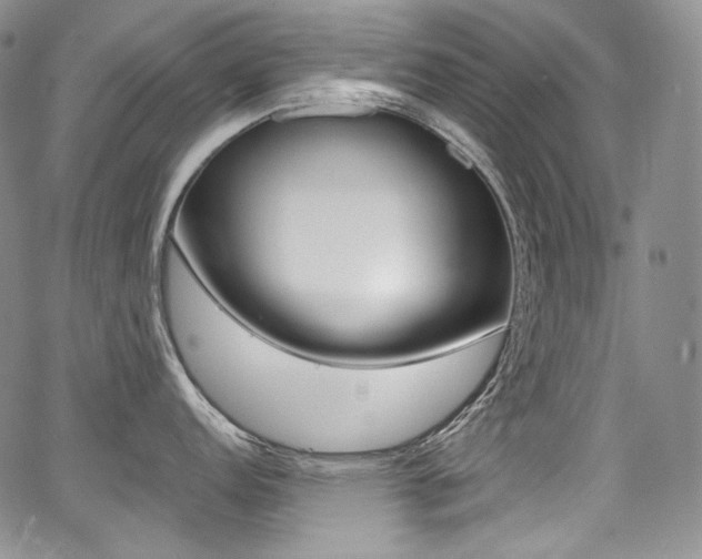 X0000068321152200604211005