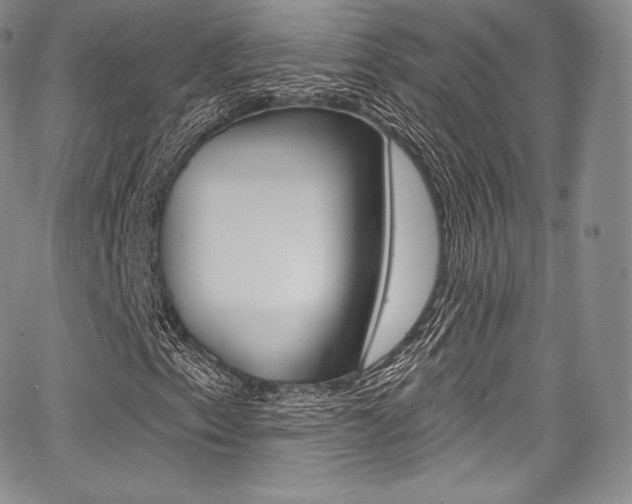 X0000068321153200604211004