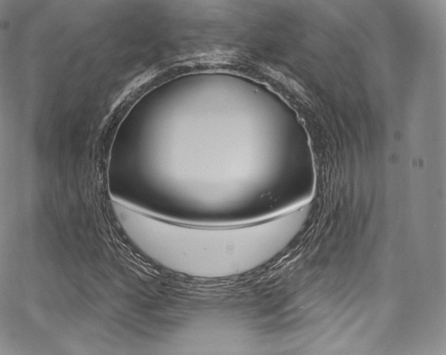 X0000068321160200604211004