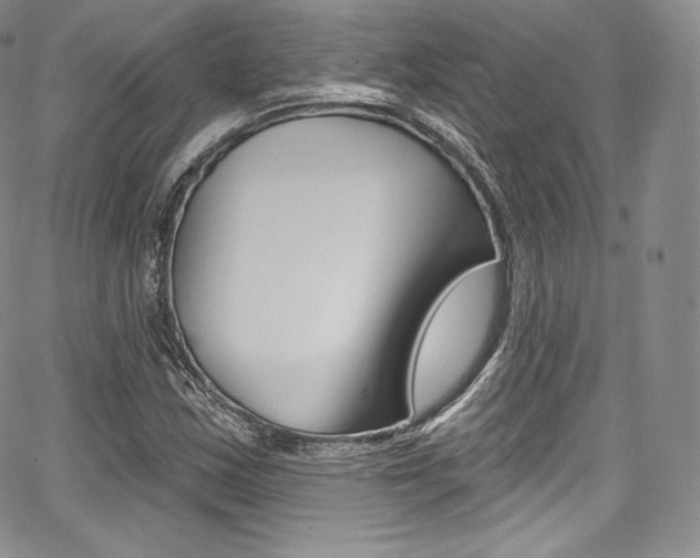 X0000068321163200604211004