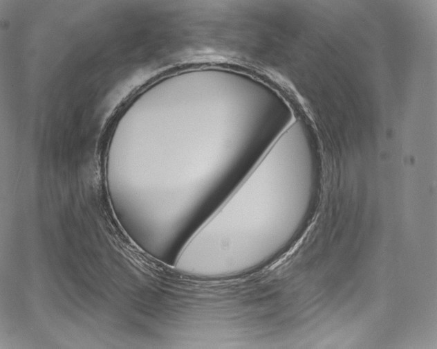 X0000068321167200604211004