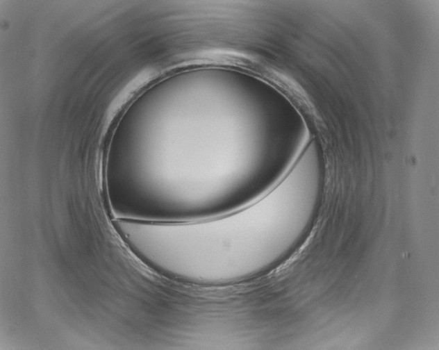 X0000068321180200604211004