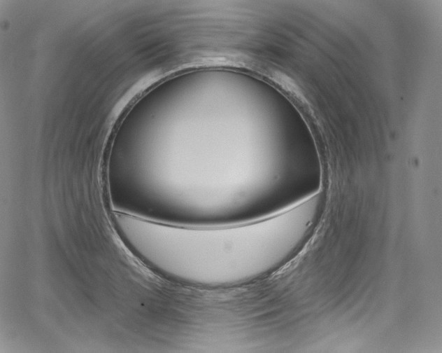 X0000068321181200604211004