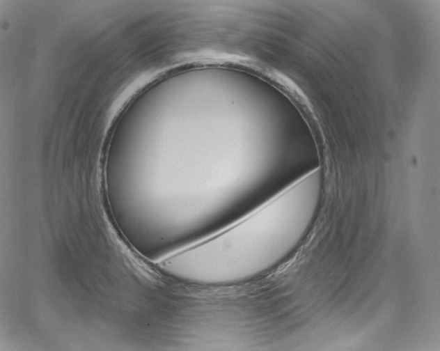 X0000068321183200604211004