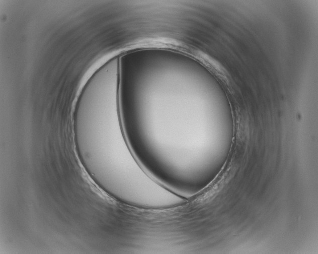 X0000068321192200604211004