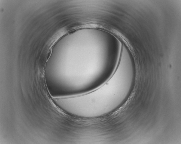 X0000068321193200604211004